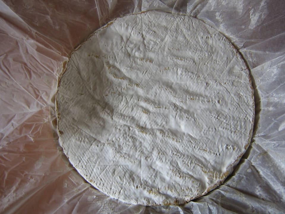 Целая головка бри де Мо без коробки, покрытая белой коркой