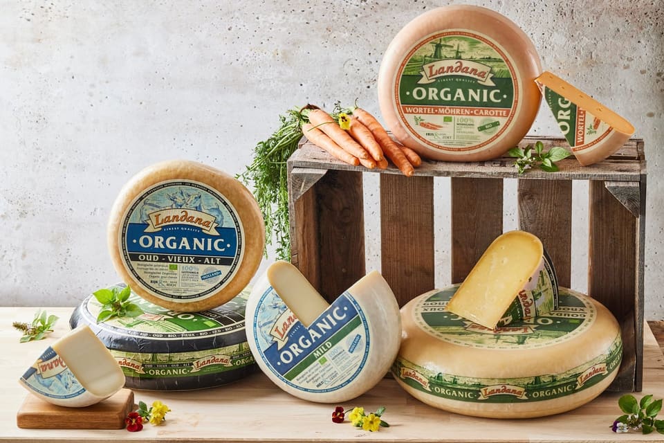 Головки голландского сыра Landana Organic на деревянных ящиках, рядом отрезанные клинья